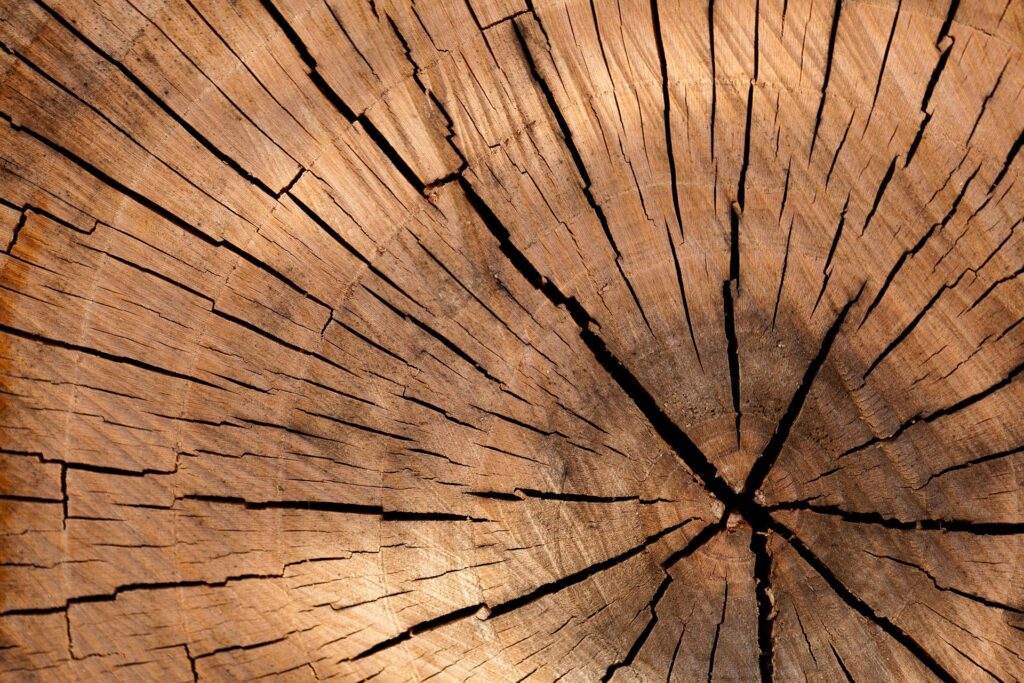 Caibros de pinus em Curitiba