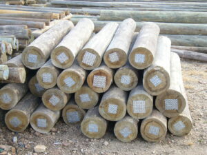 tabua-de-pinus-autoclavado-em-curitiba